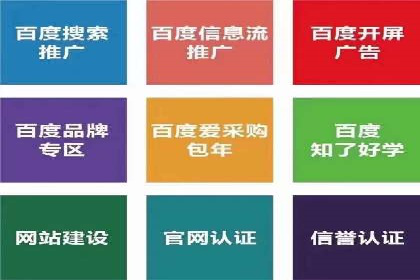 百度竞价公司案例分析：优化策略全解析